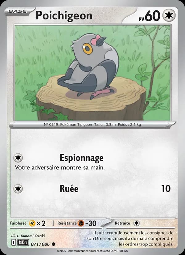 Poichigeon