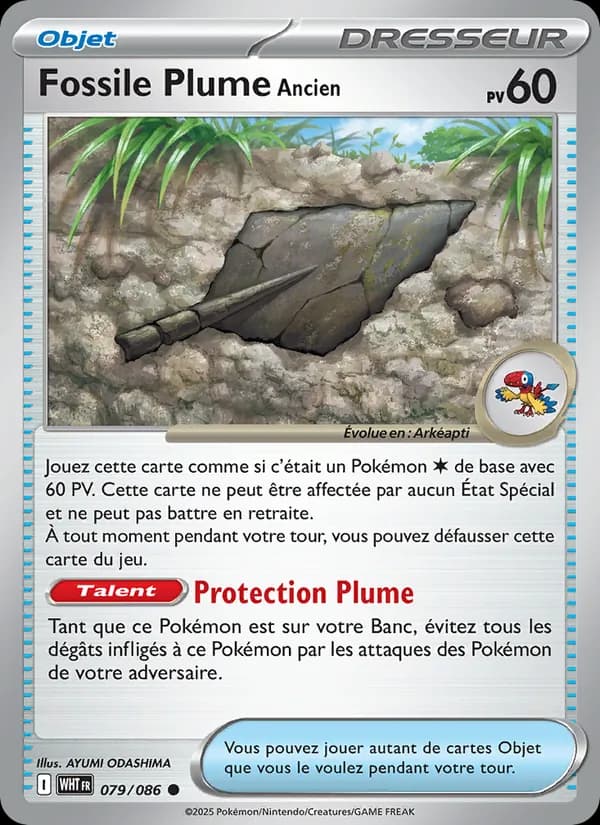 Fossile Plume Ancien