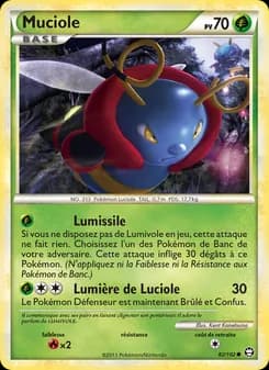 Muciole